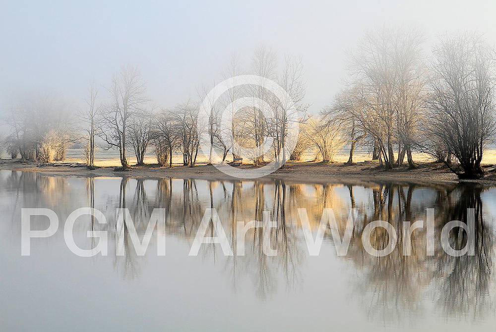 january morning von Bor